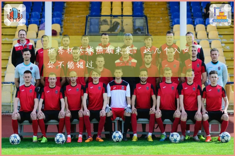 世界杯买球热潮来袭，这几个入口你不能错过