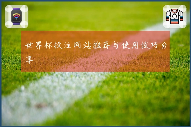 世界杯投注网站推荐与使用技巧分享