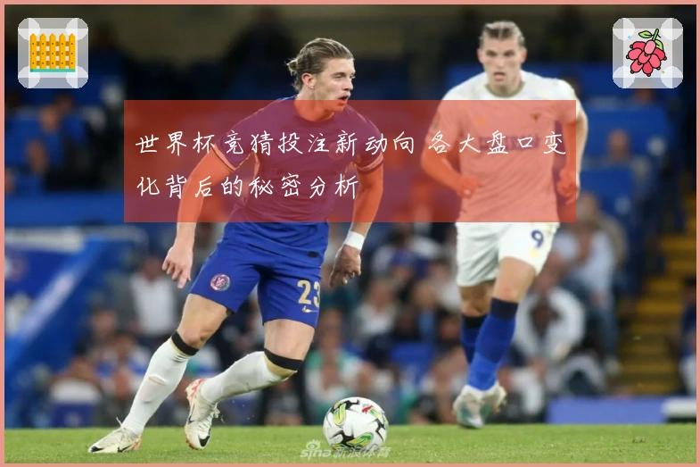 世界杯竞猜投注新动向 各大盘口变化背后的秘密分析