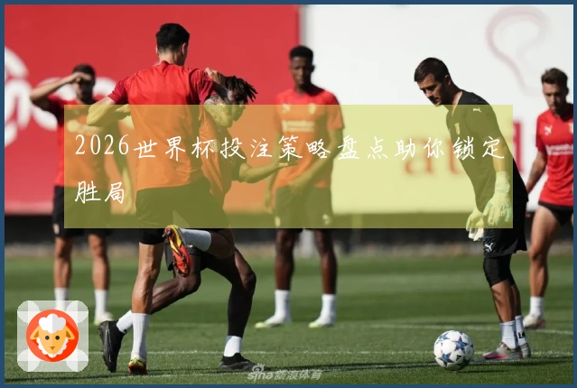2026世界杯投注策略盘点助你锁定胜局