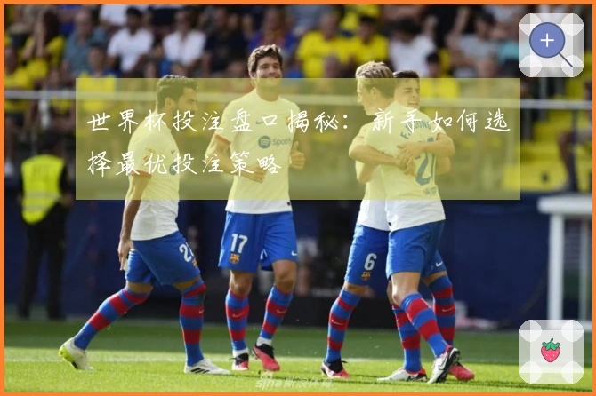 世界杯投注盘口揭秘：新手如何选择最优投注策略