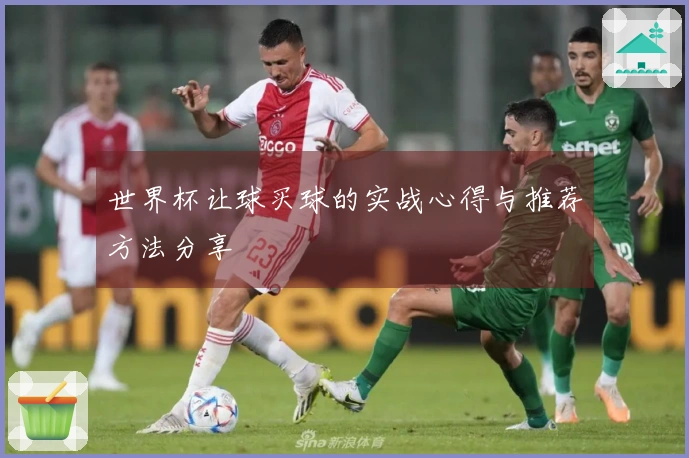 世界杯让球买球的实战心得与推荐方法分享