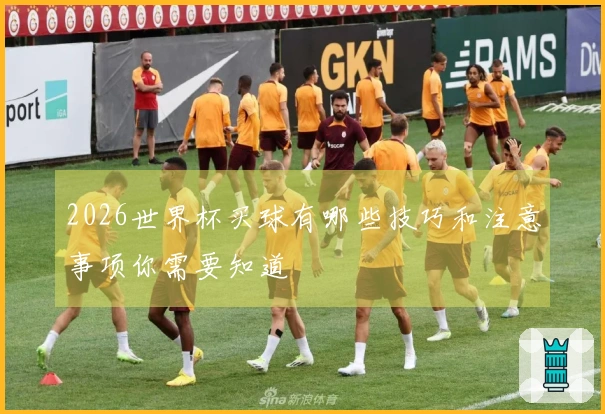 2026世界杯买球有哪些技巧和注意事项你需要知道
