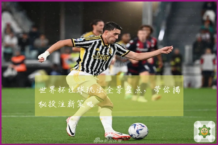 世界杯让球玩法全景盘点，带你揭秘投注新策略