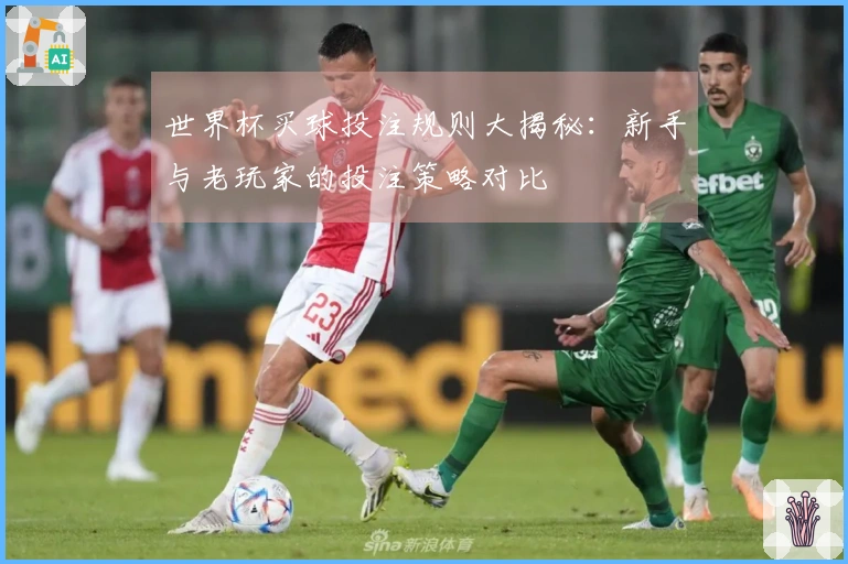 世界杯买球投注规则大揭秘：新手与老玩家的投注策略对比