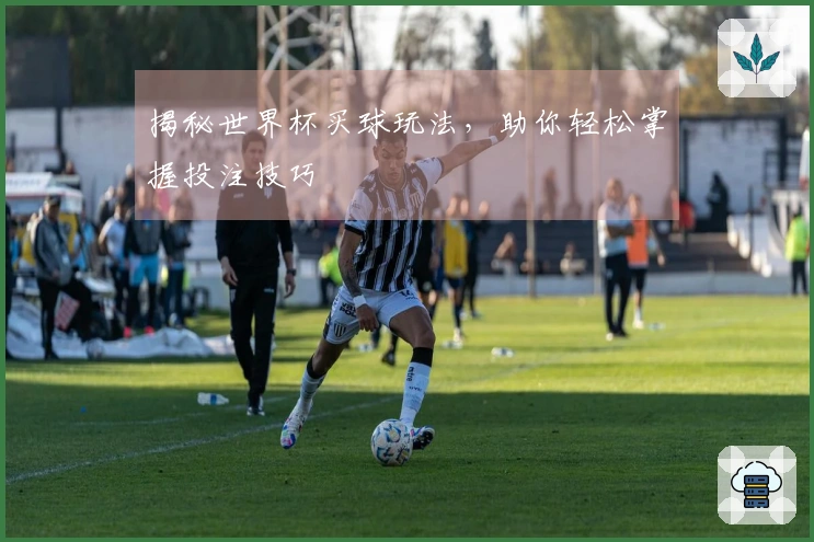 揭秘世界杯买球玩法，助你轻松掌握投注技巧