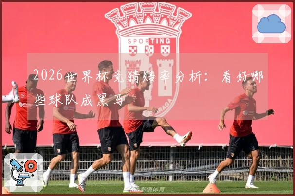 2026世界杯竞猜赔率分析：看好哪些球队成黑马