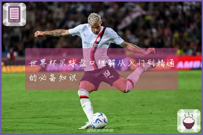 世界杯买球盘口理解从入门到精通的必备知识