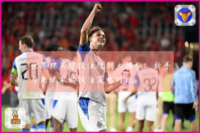 世界杯买球投注规则大揭秘：新手与老玩家的投注策略对比