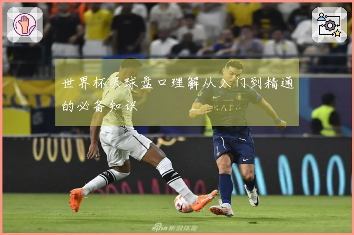 世界杯买球盘口理解从入门到精通的必备知识