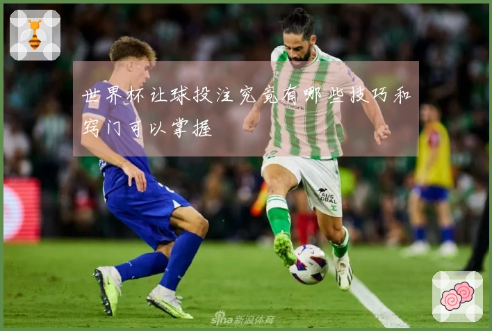 世界杯让球投注究竟有哪些技巧和窍门可以掌握