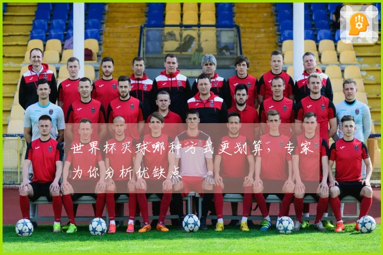 世界杯买球哪种方式更划算，专家为你分析优缺点