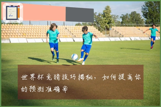 世界杯竞猜技巧揭秘，如何提高你的预测准确率