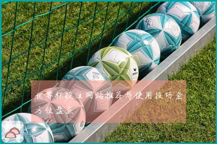世界杯投注网站推荐与使用技巧全方位盘点