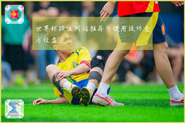 世界杯投注网站推荐与使用技巧全方位盘点