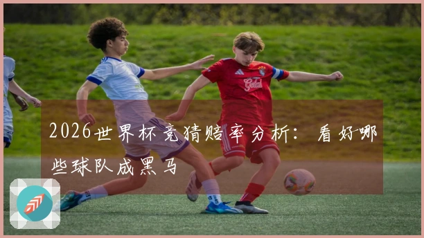 2026世界杯竞猜赔率分析：看好哪些球队成黑马