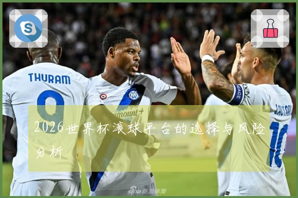 2026世界杯滚球平台的选择与风险分析
